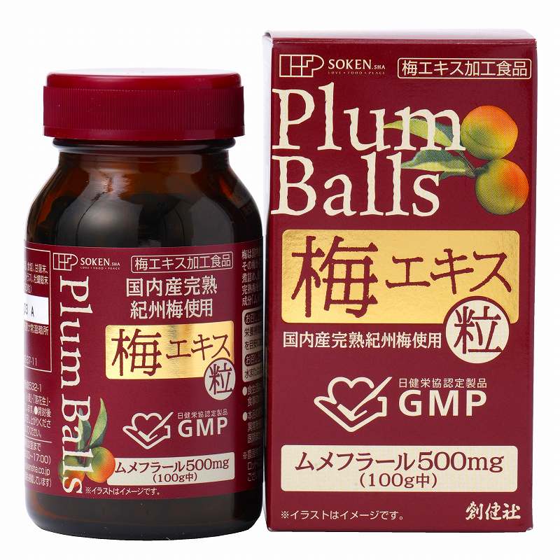 創健社 国内産完熟紀州梅使用 梅エキス 粒 90g（約450粒）